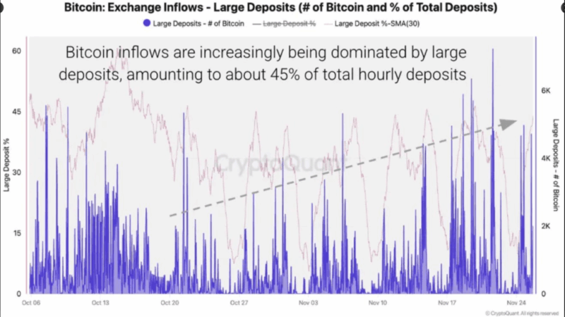 Selling Storm: Bitcoin Whales Could Drive Prices Down Further, Experts Warn