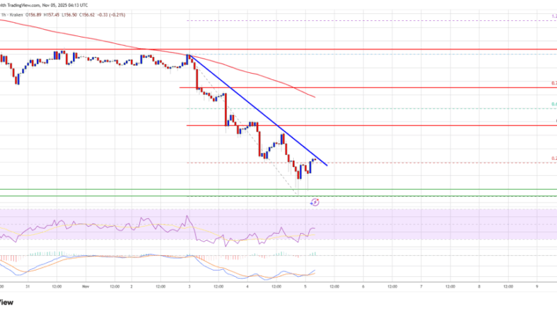Solana (SOL) Nosedives to $150, Can Bulls Prevent Further Collapse?