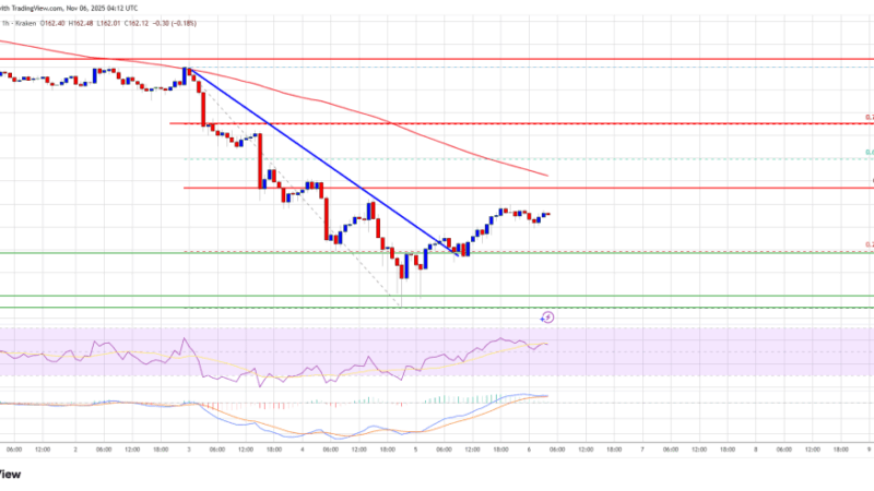 Solana (SOL) Recovery Attempt Builds, But Volume Still Signals Caution