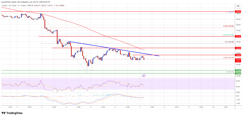Solana (SOL) Struggles to Rebound, $165 Level Proves Tough to Crack