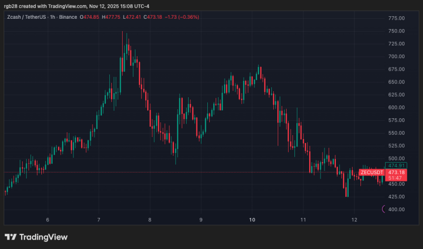 Winklevoss Twins Back Zcash (ZEC) Treasury Company With $58M Investment