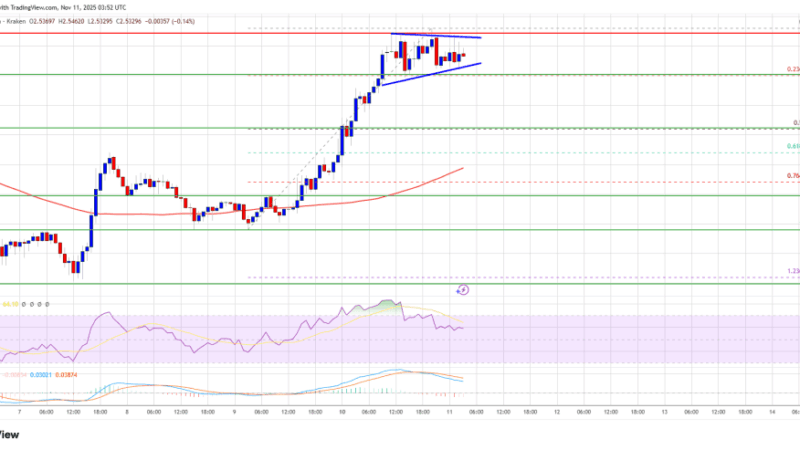 XRP Price Resumes Uptrend Amid Renewed Market Optimism and Whale Activity