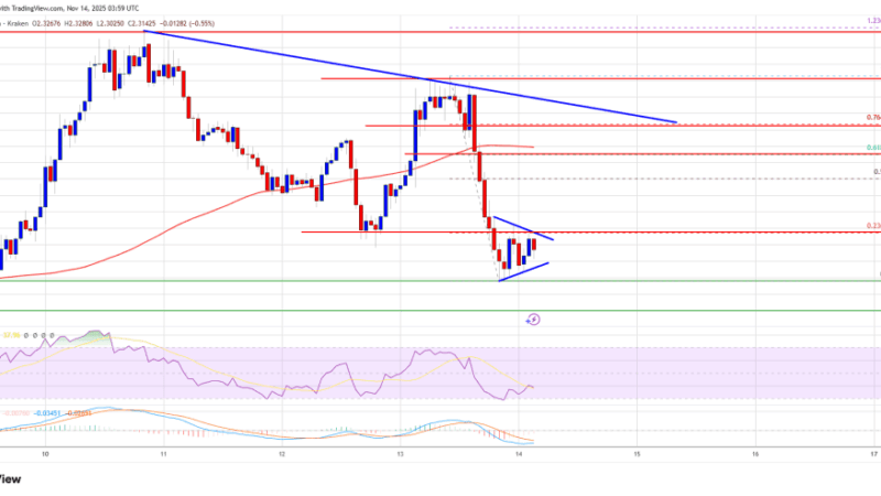 XRP Price Turns Red as Bulls Step Back and Bears Test Market Strength