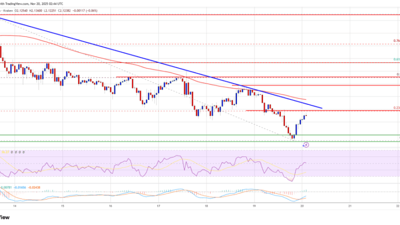 XRP Price Weakens Again, Key Demand Area Tested After Steady Downmove