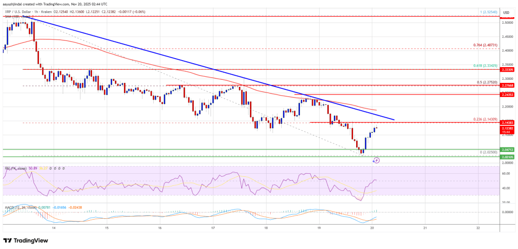 XRP Price Weakens Again, Key Demand Area Tested After Steady Downmove