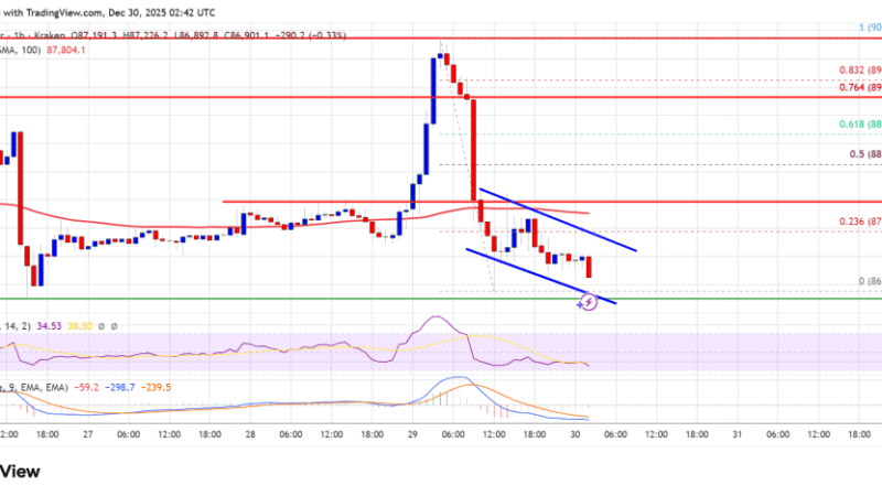 Bitcoin Price Erases Recent Gains, Raising Fresh Downside Risks