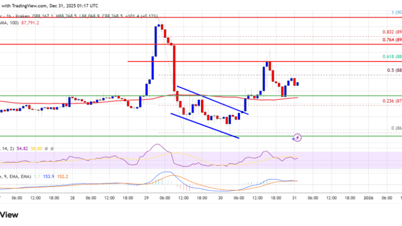 Bitcoin Price Resists Breakdown, Support Level Holds—for Now