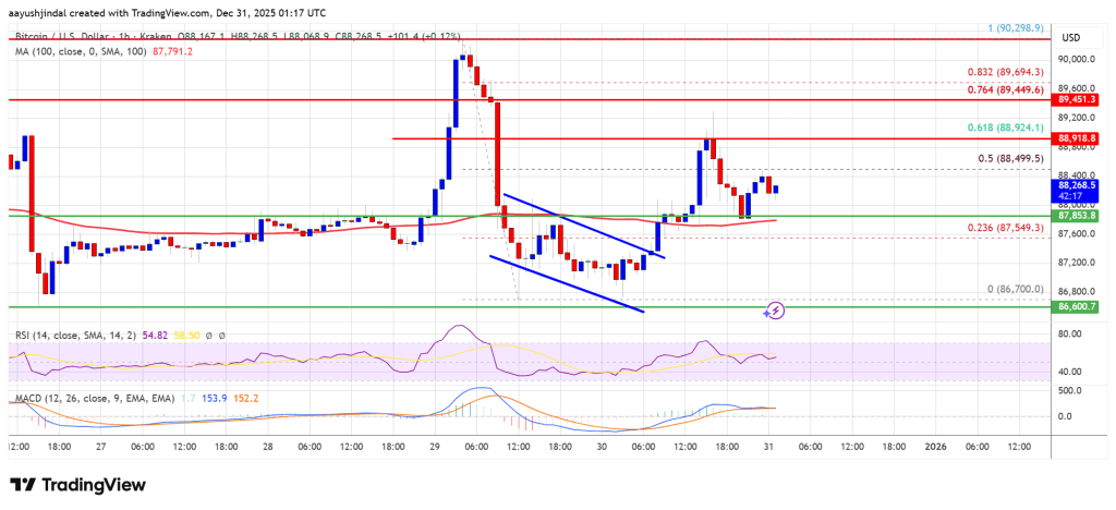 Bitcoin Price Resists Breakdown, Support Level Holds—for Now