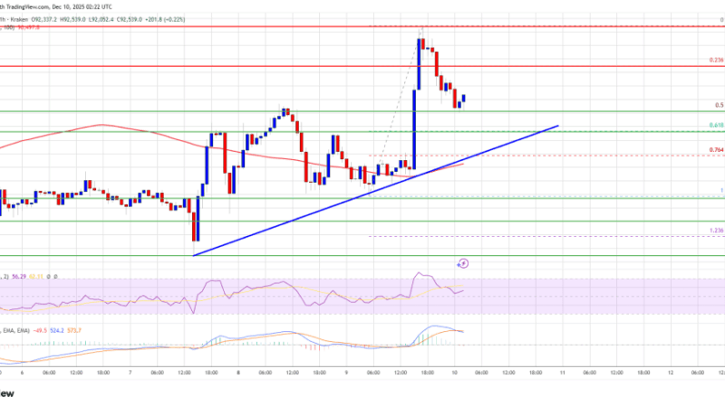 Bitcoin Price Shows Fresh Strength—Could This Spark a Rapid Rally?