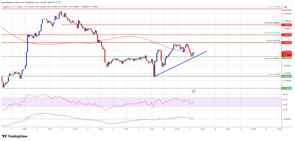 Dogecoin (DOGE) Knocked Back From Resistance—Can Bulls Regain Control?