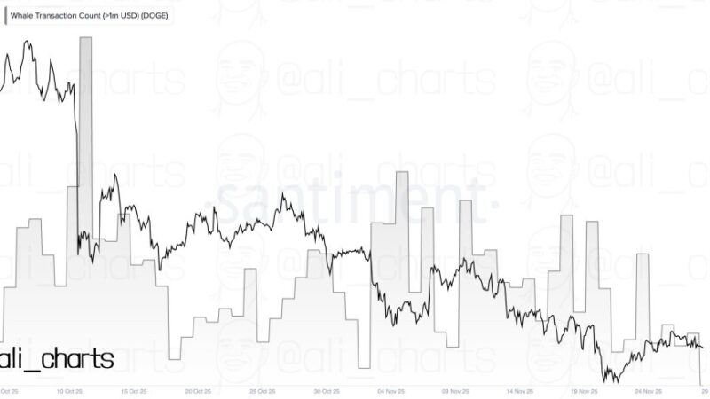 Dogecoin Whale Activity Drops To Deepest Level In Two Months