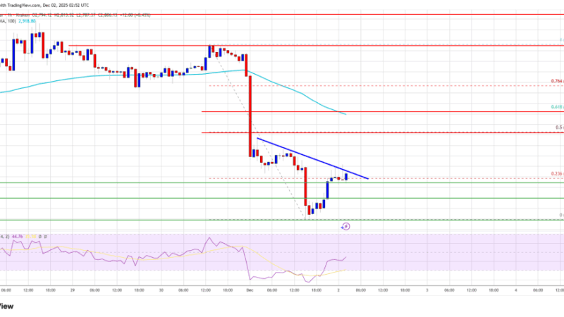 Ethereum Takes a Blow, Though Buyers Continue Shielding Key Price Floors