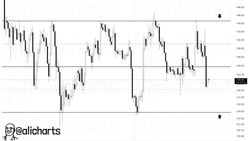 Is SOL USD Preparing for a Breakout as Solana Price Holds Above Key Support?