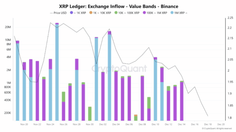 Whale Inflows Dampen XRP ETF Optimism As Selling Pressure Persists
