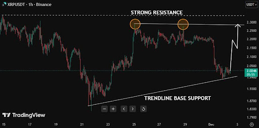 XRP Coils At Support: Refusal To Drop Hints At Potential Reversal — Here’s Why