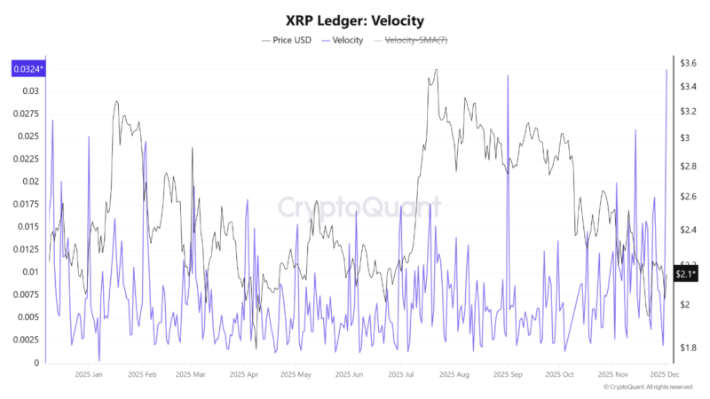 XRP On-Chain Velocity Hits Yearly High As Network Activity Explodes