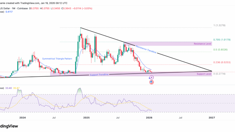 210,000,000 ADA Bought in 3 Weeks: What Do Cardano Whales Know?