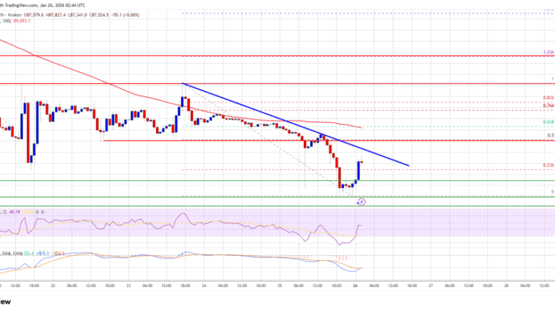 Bitcoin Price Breakdown Risk Grows As Bears Aim For $85K