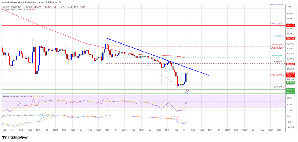 Bitcoin Price Breakdown Risk Grows As Bears Aim For $85K