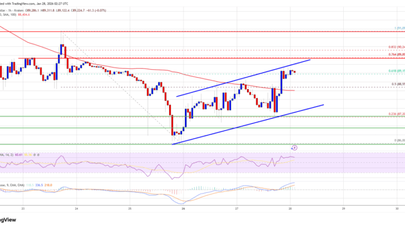 Bitcoin Price Marches Upward, But $90K Could Decide The Next Act