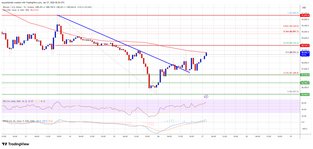 Bitcoin Price Recovery Attempts Rise, But Upside Remains Challenged