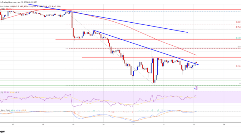 Bitcoin Price Stability Sparks Recovery Hopes, But Hurdles Loom
