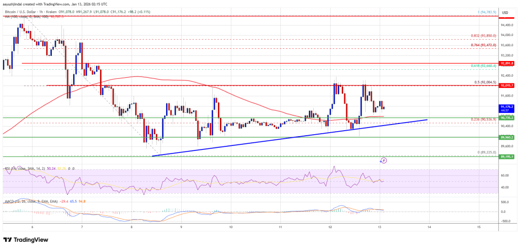 Bitcoin Price Stays Pinned Above Support, Setting Up a Bigger Move