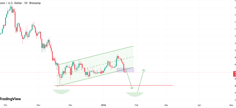 Bitcoin To $80,000? Analyst Warns Of Potential Free Fall As BTC Erases 2026 Gains