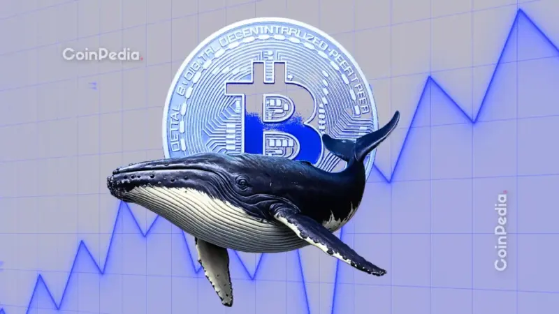Bitcoin Whales Accumulate BTC as Exchange Supply Falls to 7-Year Low
