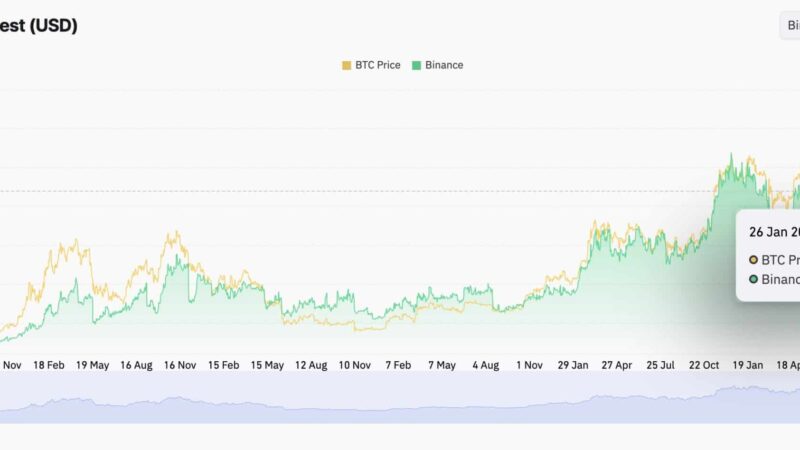 BNB Crypto Challenges $915: Slight Gains Set Stage for Major Resistance Showdown