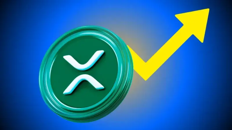Canary Capital CEO Sees XRP Building Year, Not All-Time High in 2026
