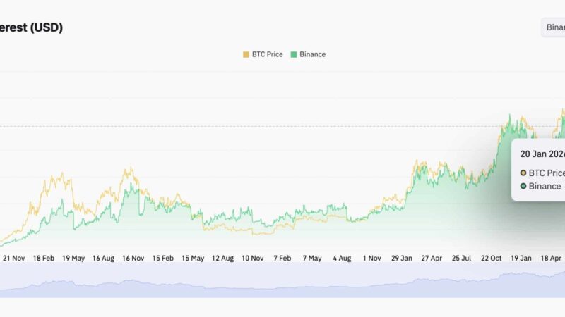 Danger Zone: Shiba Inu Must Hold This Key Level or Risk a Double-Digit Crash