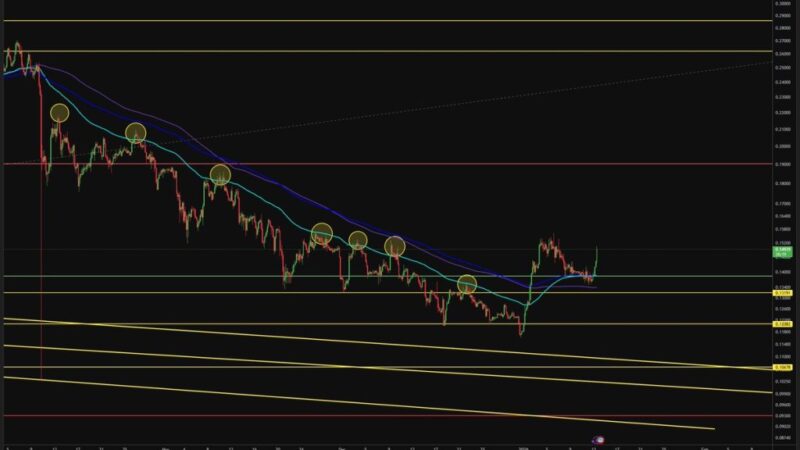 Dogecoin Bulls Don’t Celebrate Too Early: This Level Still Must Fall