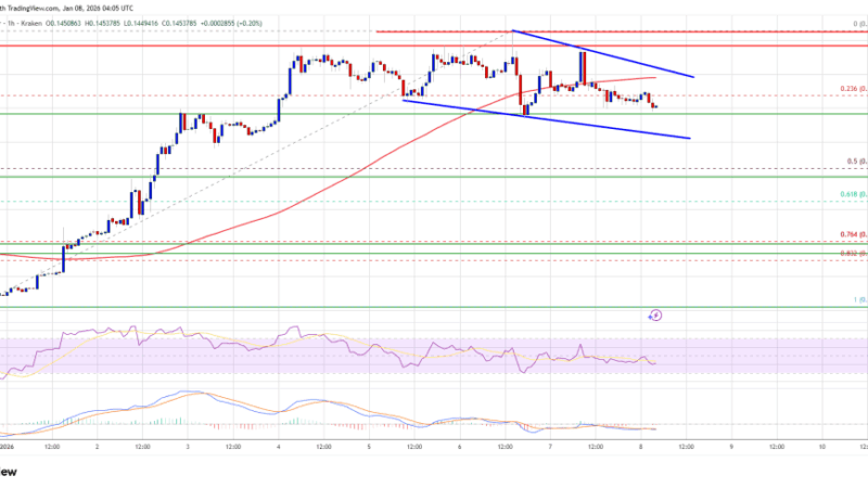 Dogecoin (DOGE) Consolidates Strength, Calm Before Another Move?