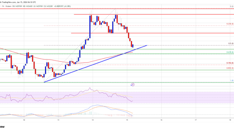 Dogecoin (DOGE) Meets Resistance and Hesitates, Market Tone Changes