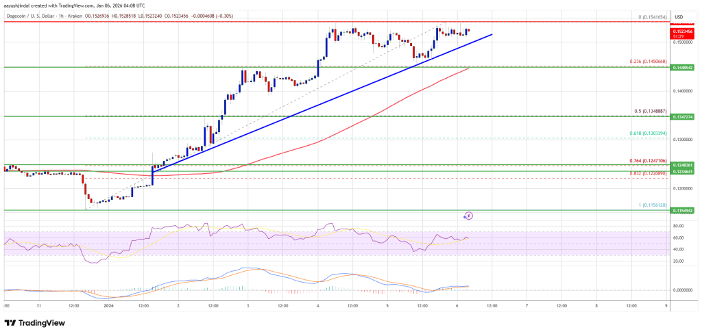 Dogecoin (DOGE) Rally Isn’t Fading Yet—Here’s What’s Keeping It Alive