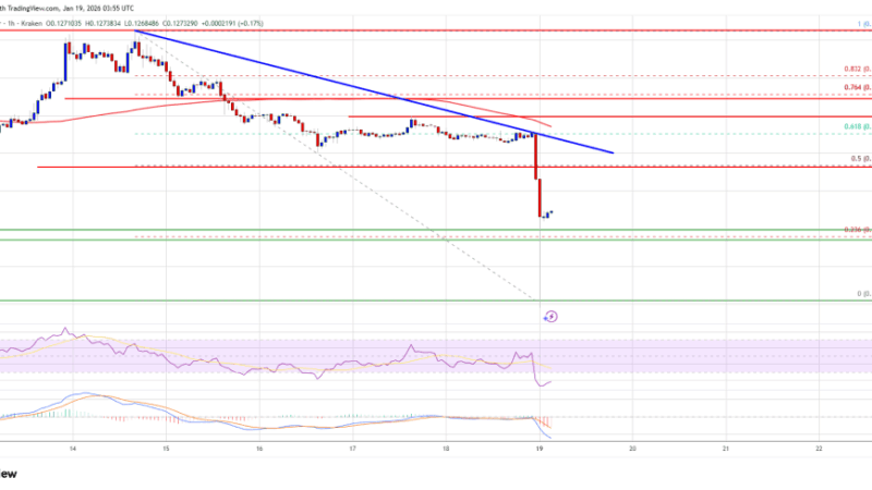 Dogecoin (DOGE) Red Prints Return, Resistance Could Cap Any Recovery