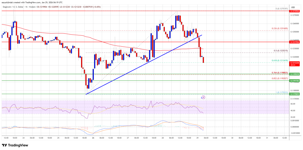 Dogecoin (DOGE) Slips Back As Bears Regain The Upper Hand