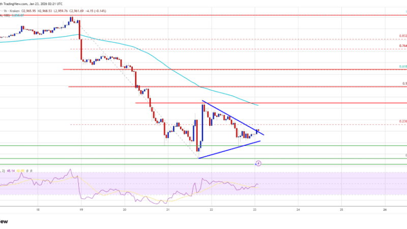 Ethereum Bulls Must Conquer $3,050 Or Momentum Quickly Fades