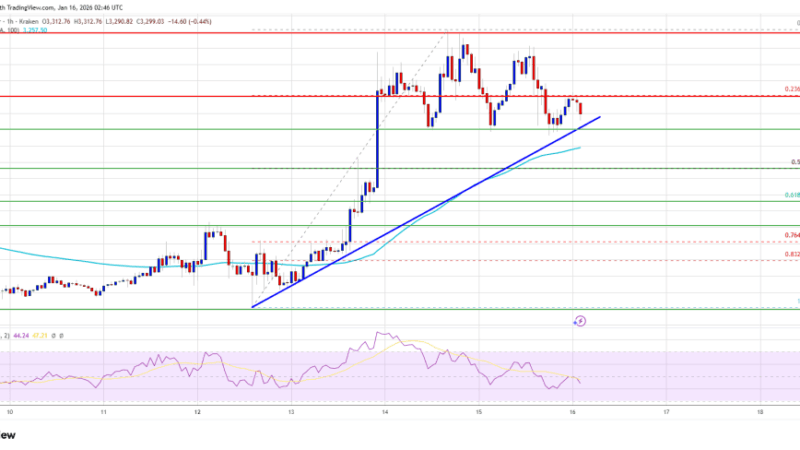 Ethereum Price Finds Balance at Support—But the Next Move Matters