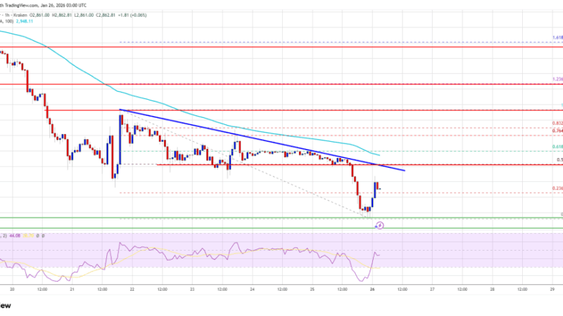 Ethereum Price Sinks To $2,800, Raising Fresh Downside Fears