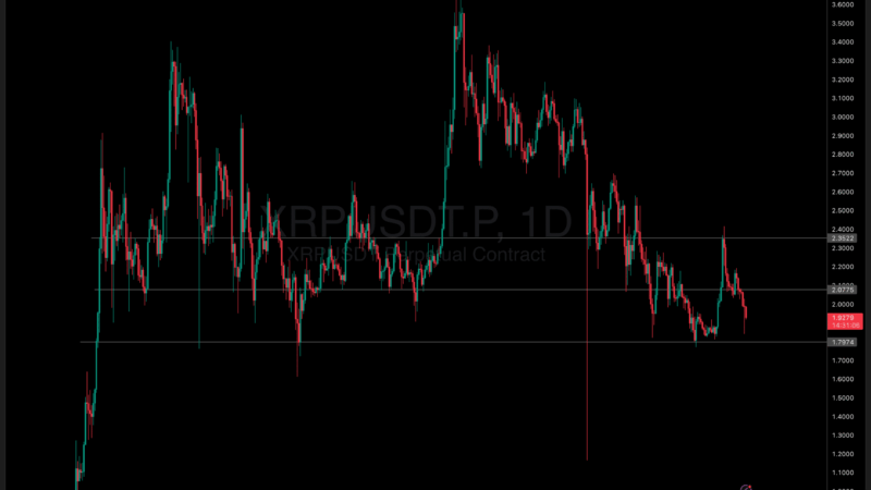 How Much XRP to Hold? XRP Drops Below $2 While Long-Term Holders Do the Math