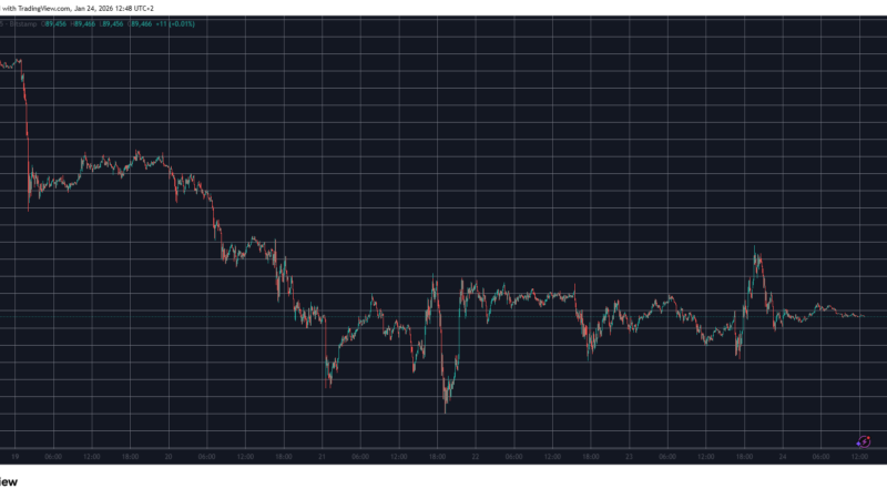 Hyperliquid (HYPE) Soars 11% After Recent Crash, Bitcoin (BTC) Still Below $90K: Weekend Watch