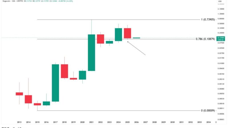 Is The Dogecoin Bottom In? 3 Analysts Break Down the Charts
