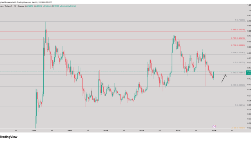 Is The Dogecoin Rally A Dead Cat Bounce? Analysts Weigh In