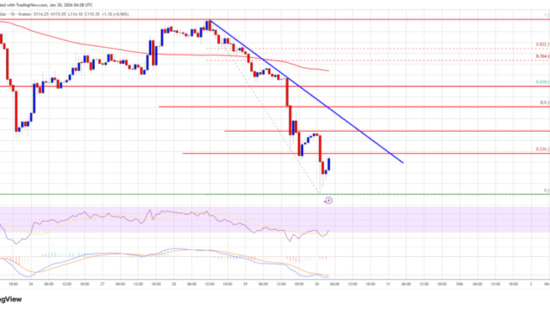 Solana (SOL) Crashes Back To $112, A Level That Could Decide Everything