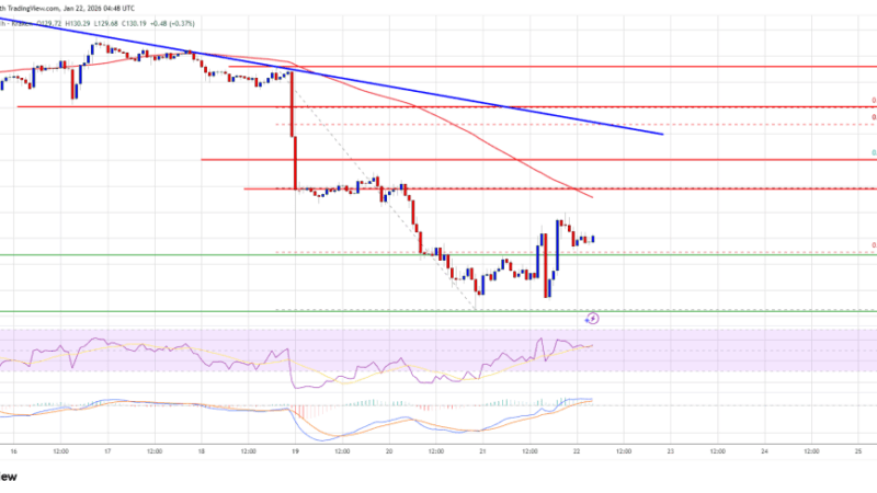 Solana (SOL) Recovery At Risk With Bears Guarding Resistance