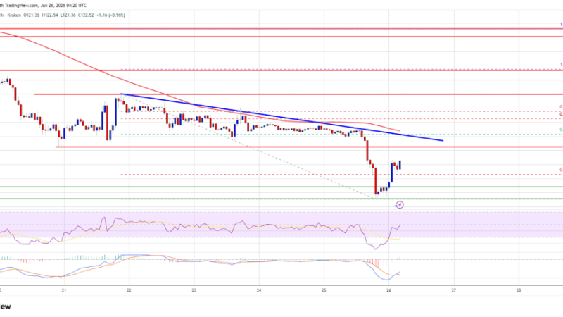 Solana (SOL) Slips Further As Bears Target Deeper Support Zones