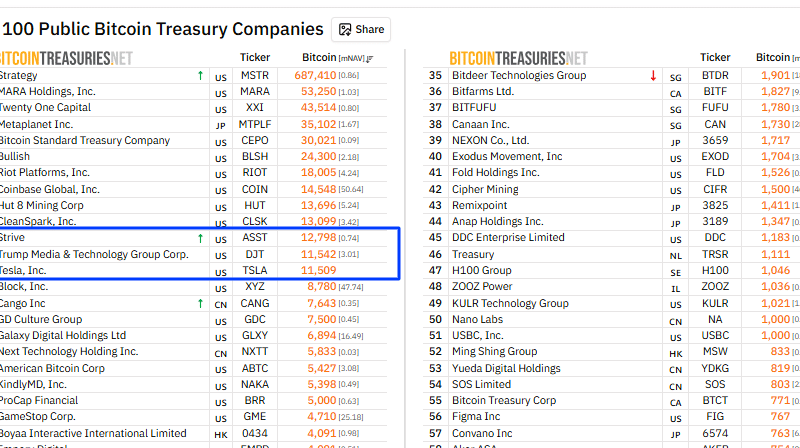 Strive Jumps Past Tesla With 12,798 Bitcoin Treasury Move: Will BTC USD Breeze Past $100,000?