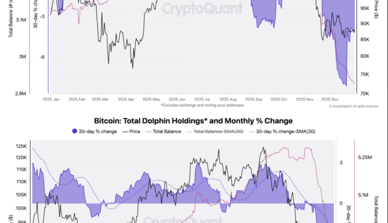The Bitcoin Whale Comeback Story May Be Overblown, Onchain Data Shows